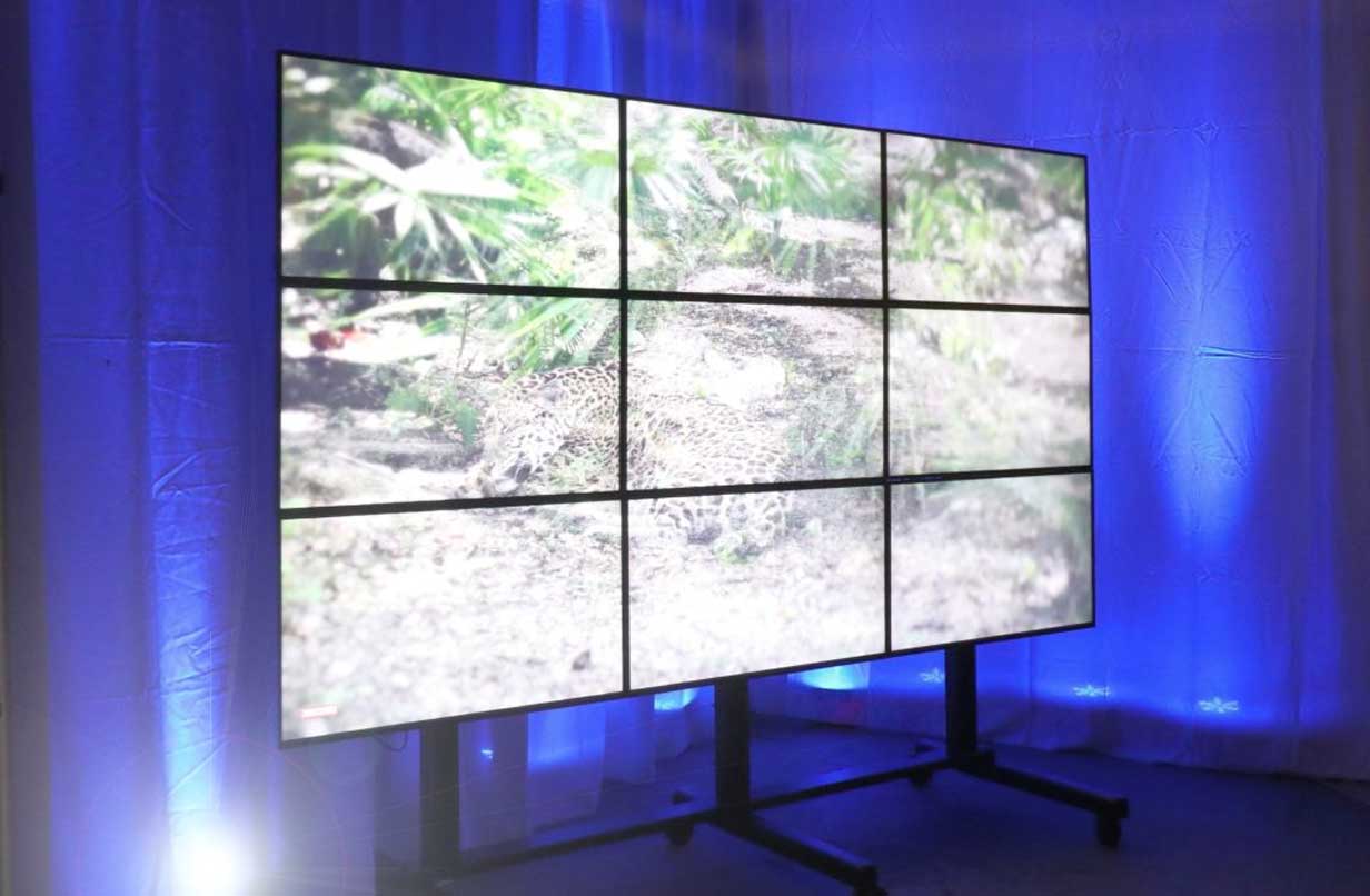 Instalacion de videowall con ruedas para multiples pantallas de tv Instalacion de videowall con ruedas para multiples pantallas de tv